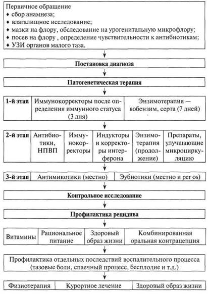 Алгоритм ведения больных с воспалительными заболеваниями придатков матки