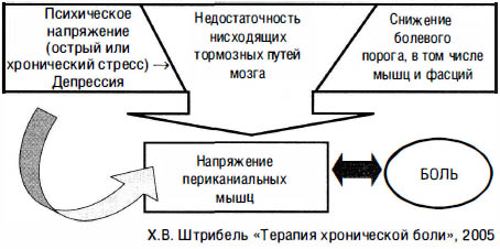 Основные факторы хронизации головной боли напряжения и мигрени